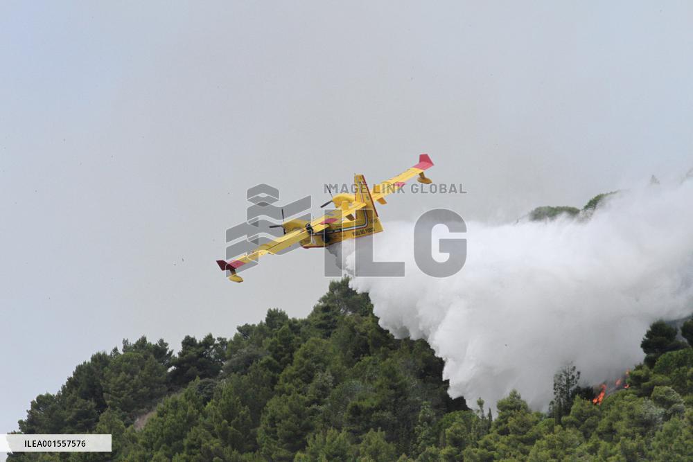 Wildfires Around Palermo