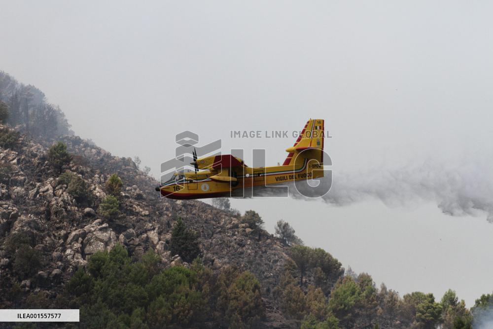 Wildfires Around Palermo