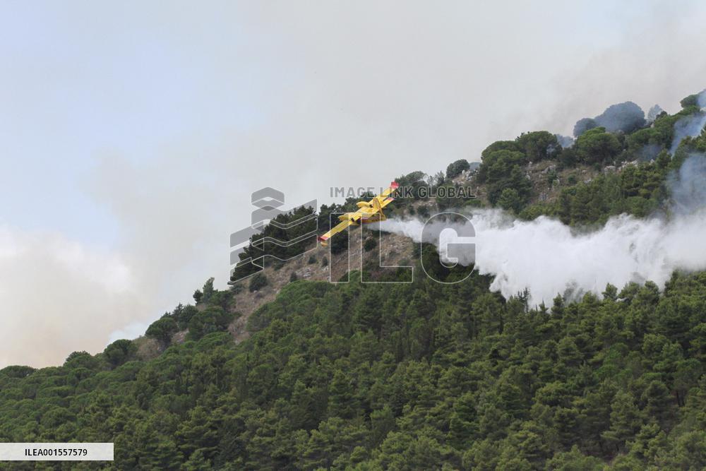 Wildfires Around Palermo