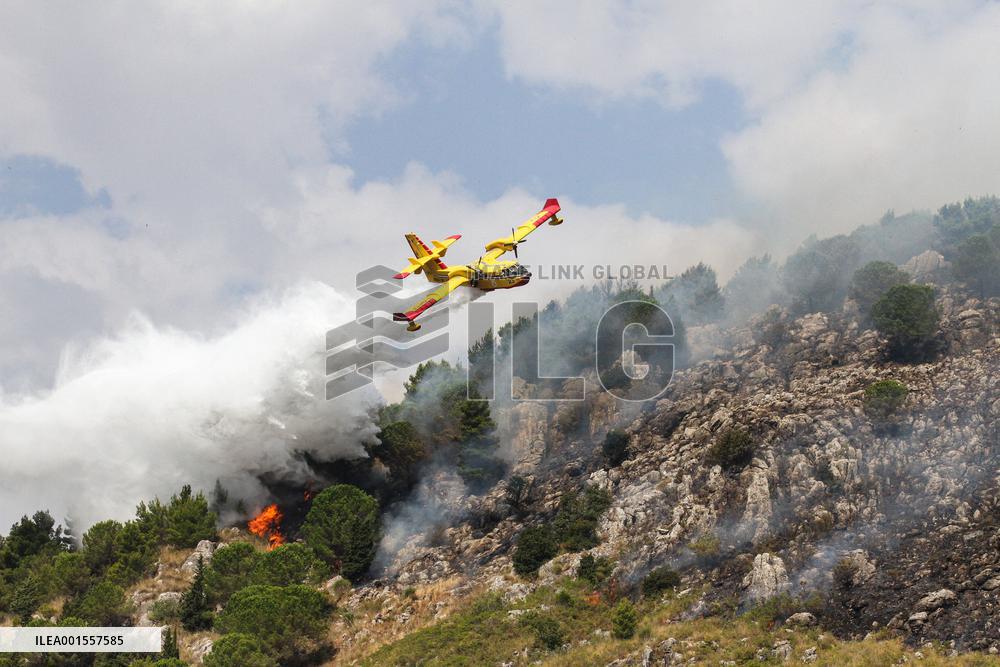 Wildfires Around Palermo