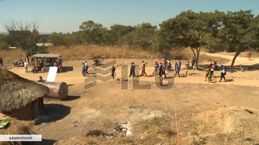 China, Zimbabwe cooperate on schistosomiasis elimination