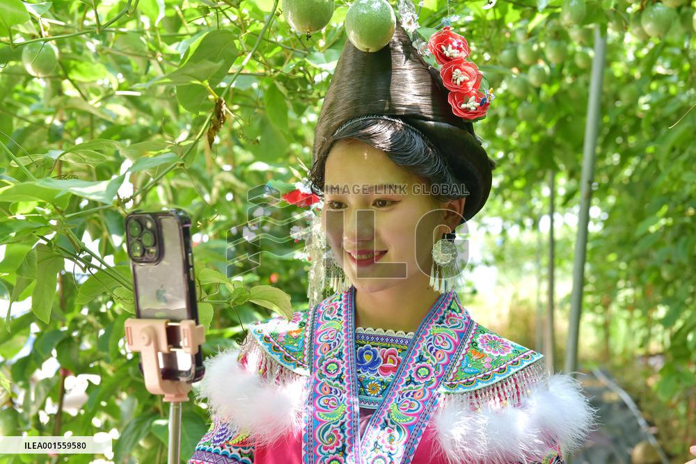 Live Broadcast Sell Fruits in Qiandongnan, China