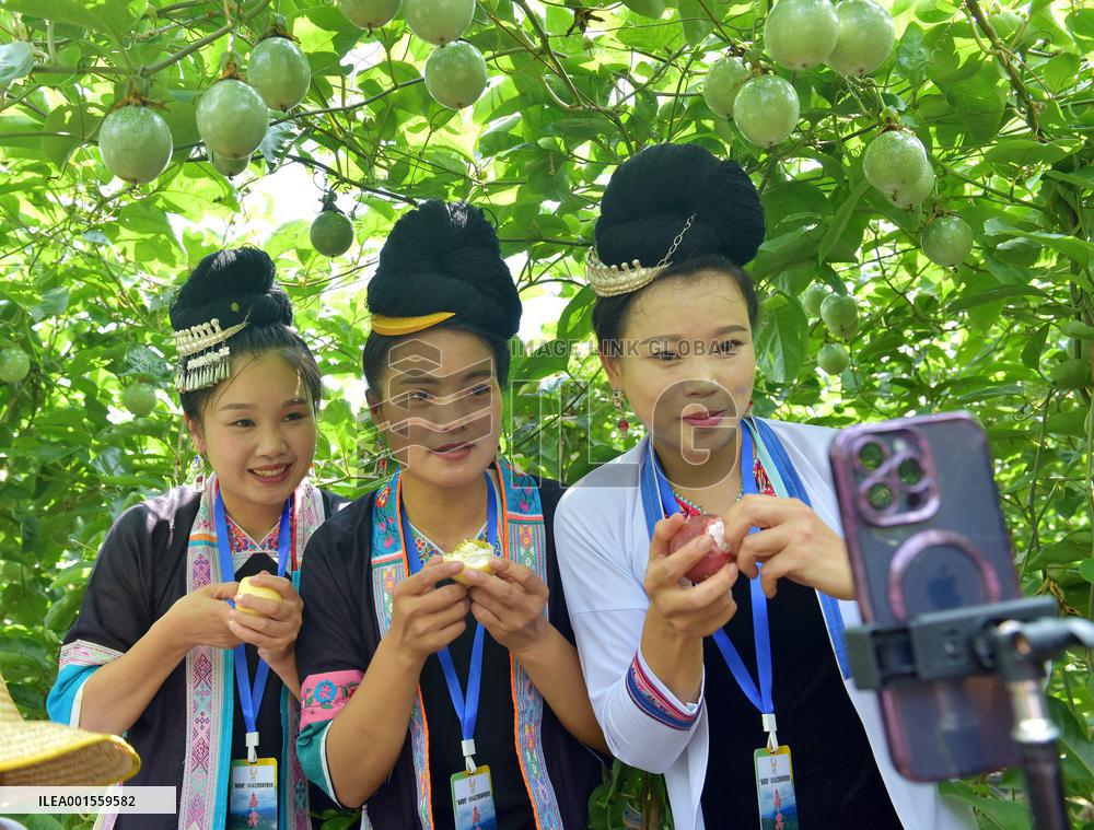 Live Broadcast Sell Fruits in Qiandongnan, China