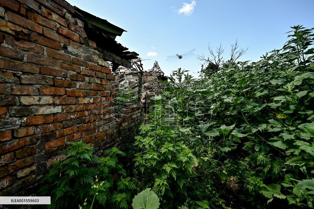 Novodarivka
