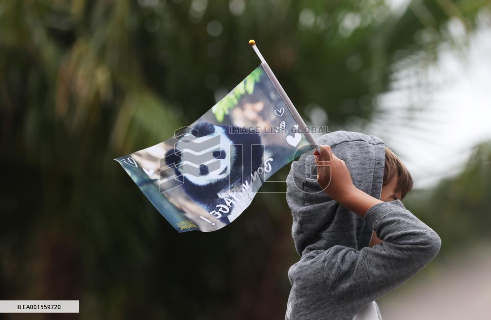 FRANCE-PARIS-GIANT PANDA-YUAN MENG-FAREWELL