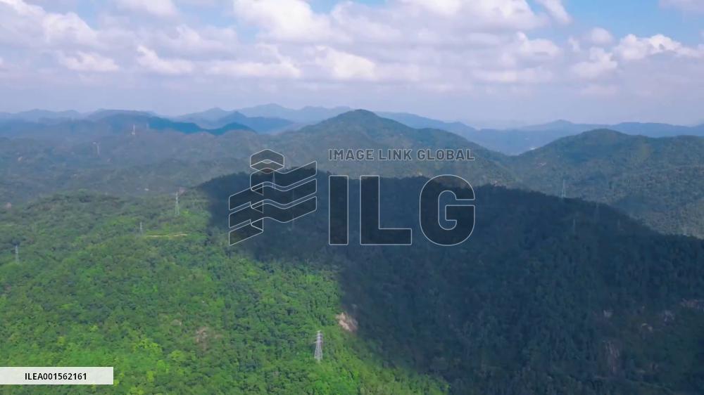 French expat in China shares love of nature with local children