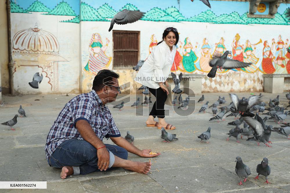 Rajasthan In Pictures