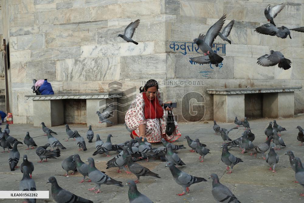 Rajasthan In Pictures