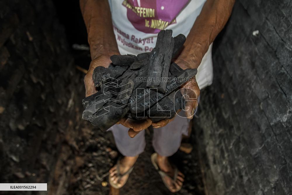 The Mangrove Wood A Natural Warmer - Indonesia