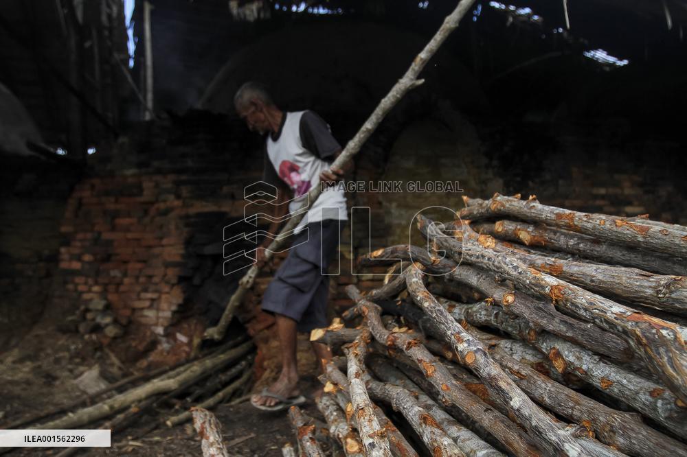 The Mangrove Wood A Natural Warmer - Indonesia
