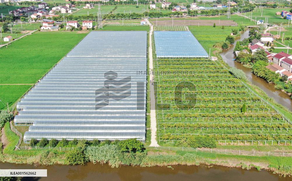 Agriculture Planting Base in Haian, China