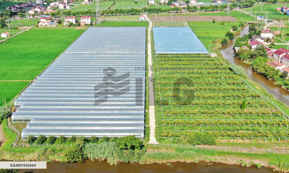 Agriculture Planting Base in Haian, China