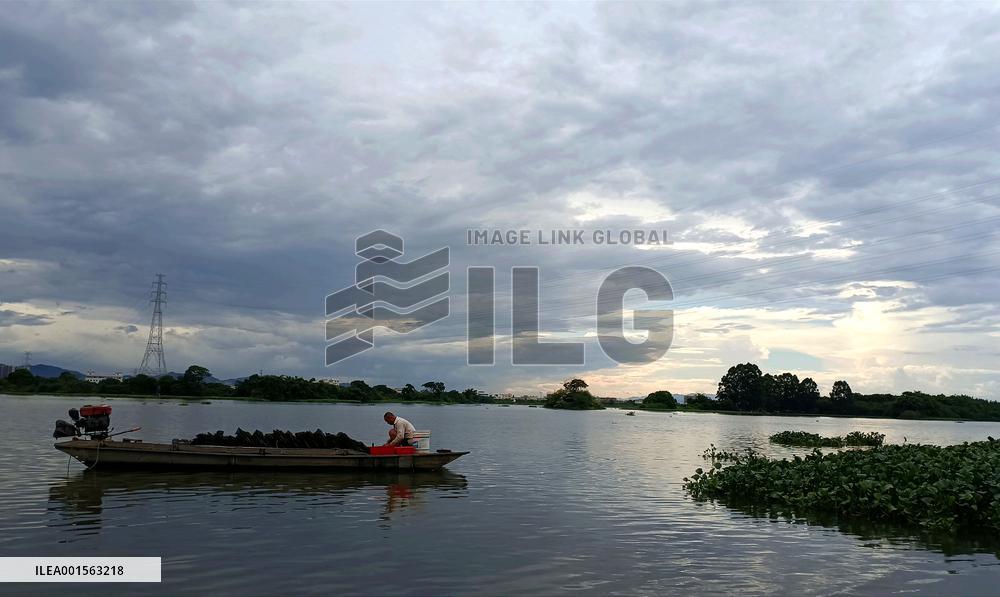 CHINA-GUANGDONG-TYPHOON DOKSURI (CN)