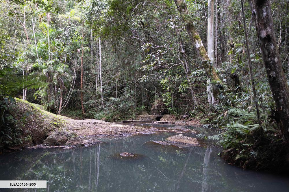 Macron Visits The Varirata National Park Forest - Papua New Guinea