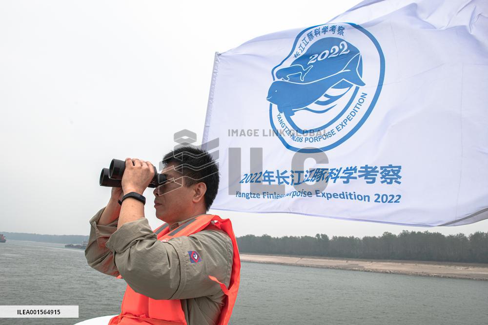 CHINA-HUBEI-WUHAN-YANGTZE FINLESS PORPOISES-PROTECTION (CN)