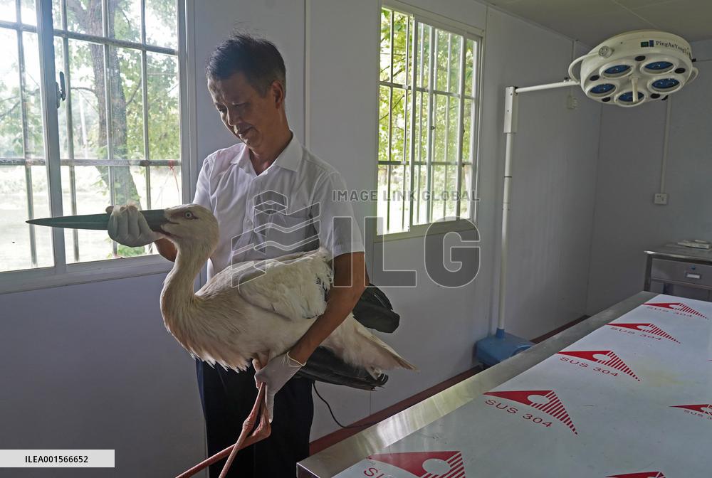 CHINA-JIANGXI-POYANG LAKE-MIGRATORY BIRDS PROTECTION (CN)