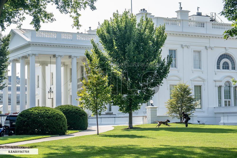 President Biden At the White House - DC