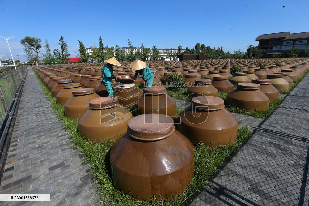 Food Company Vinegar Production in Meishan, China