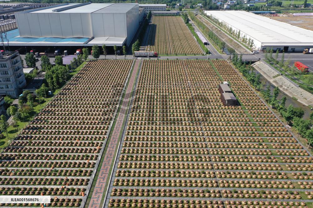 Food Company Vinegar Production in Meishan, China