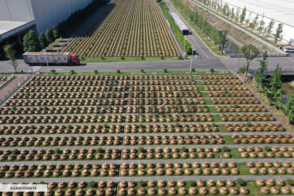 Food Company Vinegar Production in Meishan, China