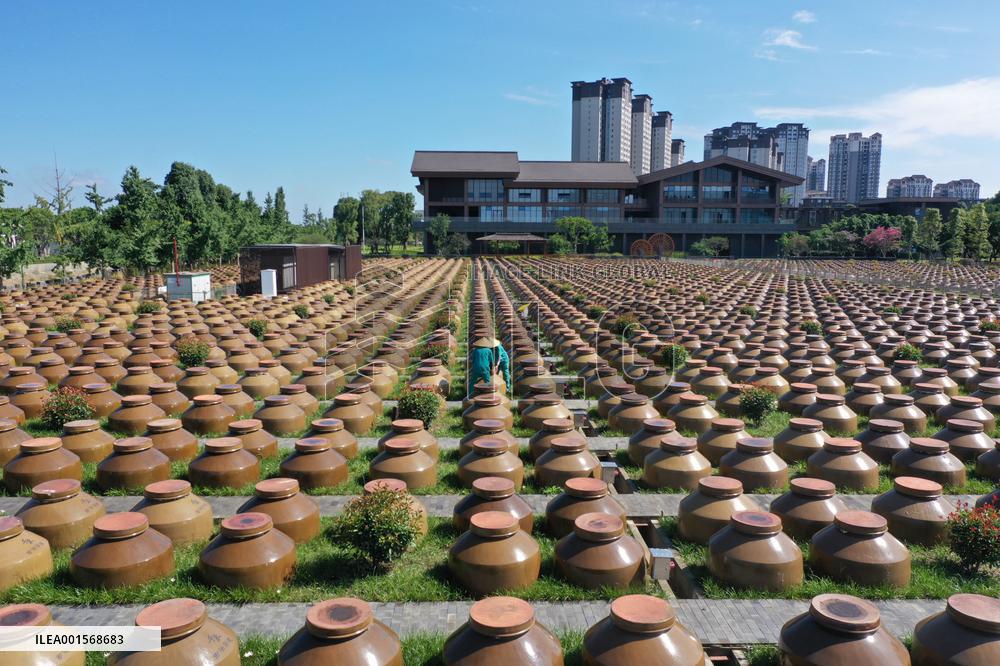 Food Company Vinegar Production in Meishan, China