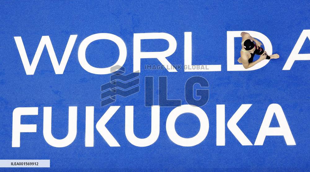 World aquatics championships