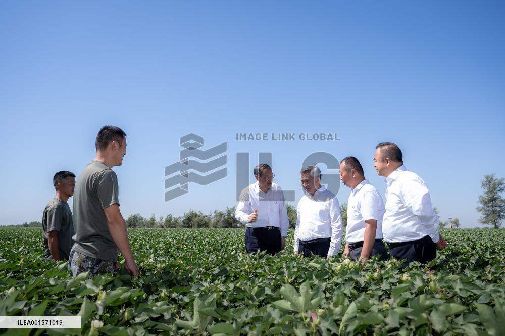 CHINA-XINJIANG-LI XI-INSPECTION (CN)