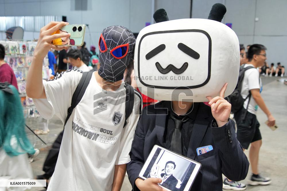 China Two-dimensional IP Value