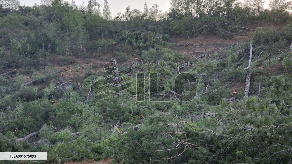 Protesters Occupy Forest To Stop Coal Mine Expansion - Turkey