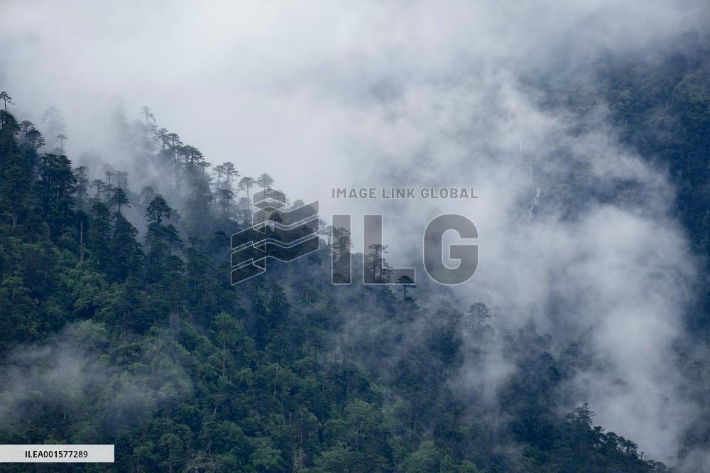 CHINA-TIBET-SHANNAN-SUMMER-SCENERY (CN)