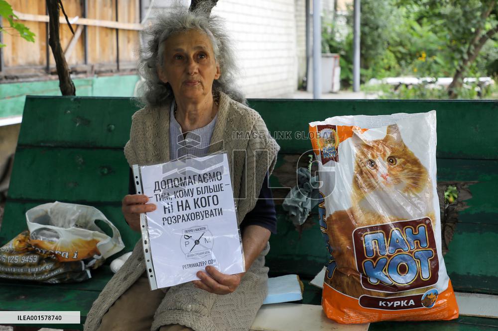 Feeding cats in Donetsk Region