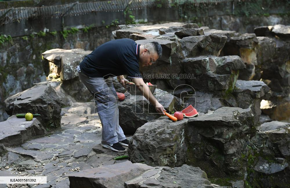 CHINA-ZHEJIANG-HANGZHOU-SUN BEAR(CN)