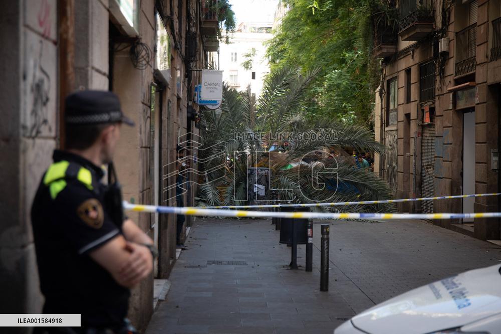 A Woman Dies When A Palm Tree Falls On Her - Barcelona