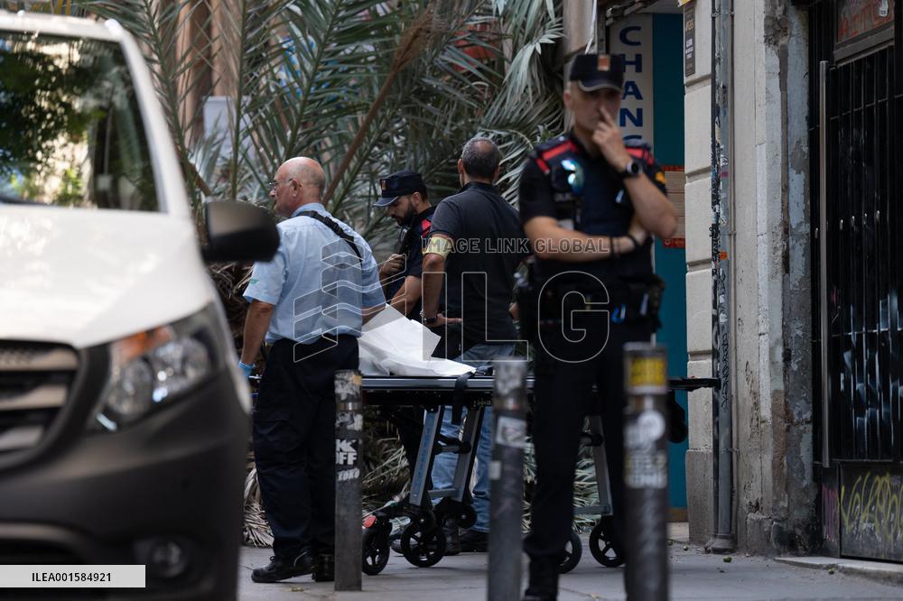 A Woman Dies When A Palm Tree Falls On Her - Barcelona