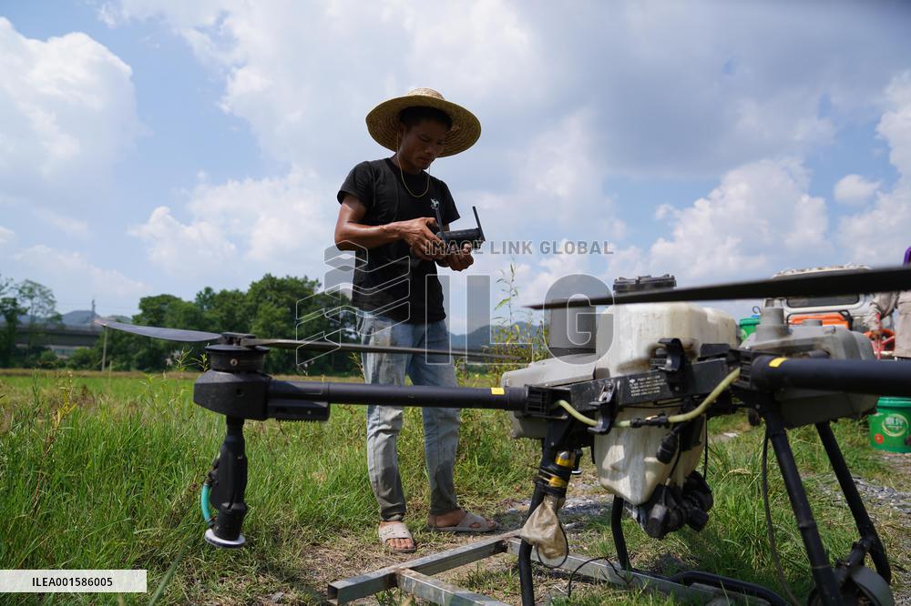 CHINA-JIANGXI-XINYU-RICE PLANTING-TECHNOLOGY (CN)