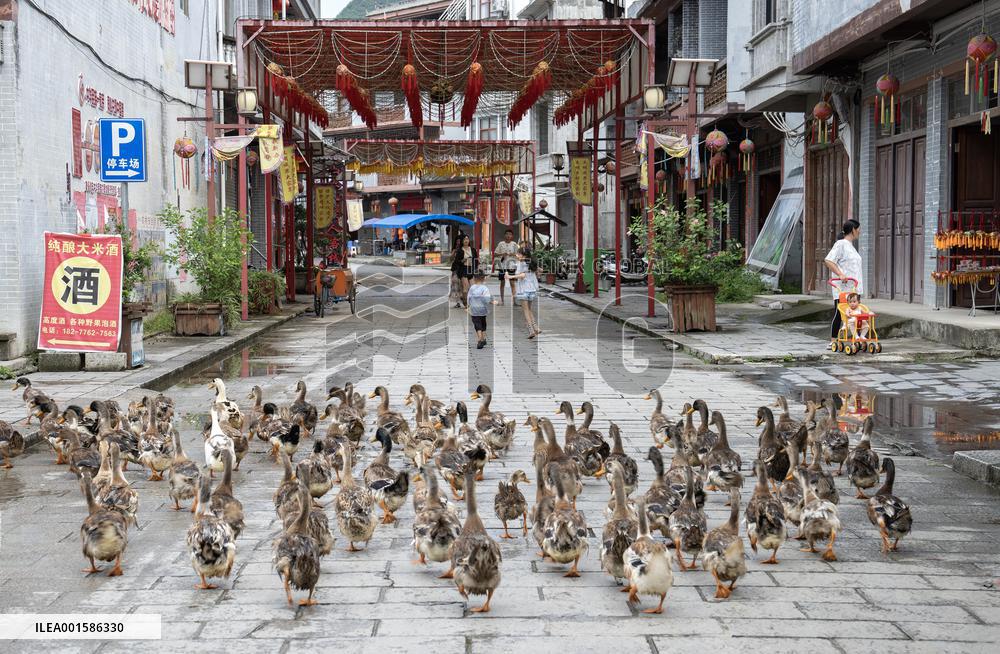 CHINA-GUANGXI-EMBROIDERED BALL (CN)
