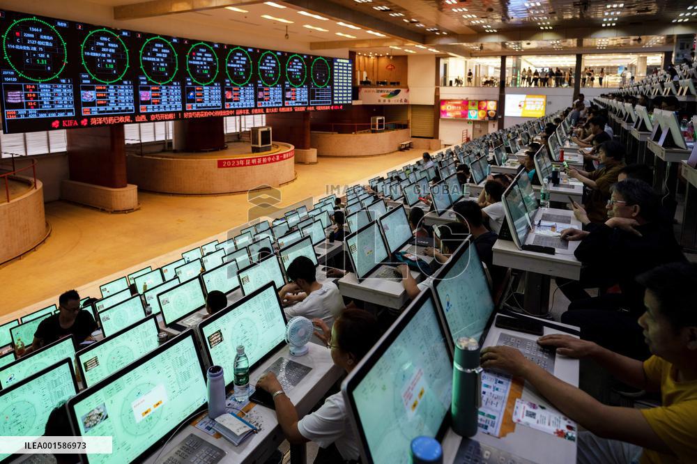 CHINA-YUNNAN-FRESH CUT FLOWER-TRADING (CN)