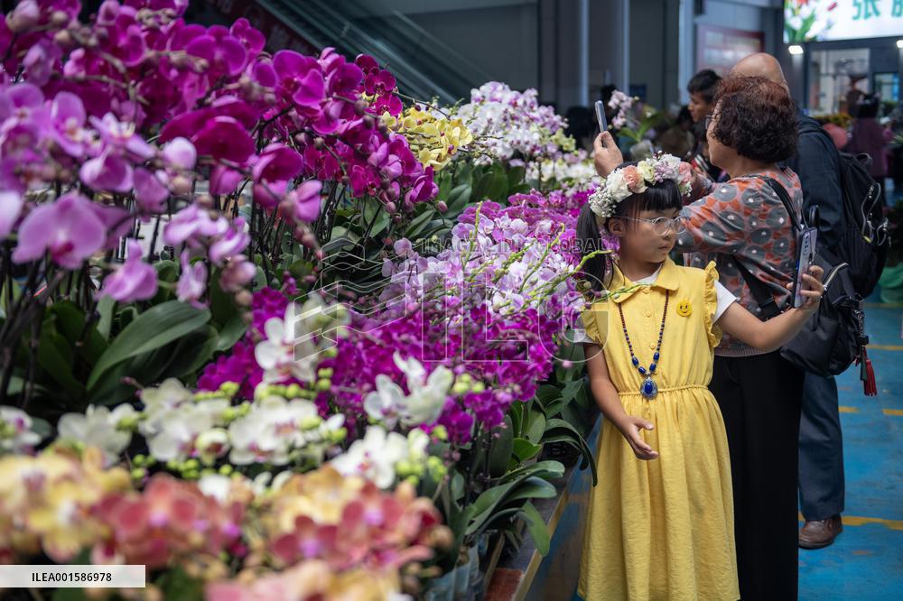 CHINA-YUNNAN-FRESH CUT FLOWER-TRADING (CN)