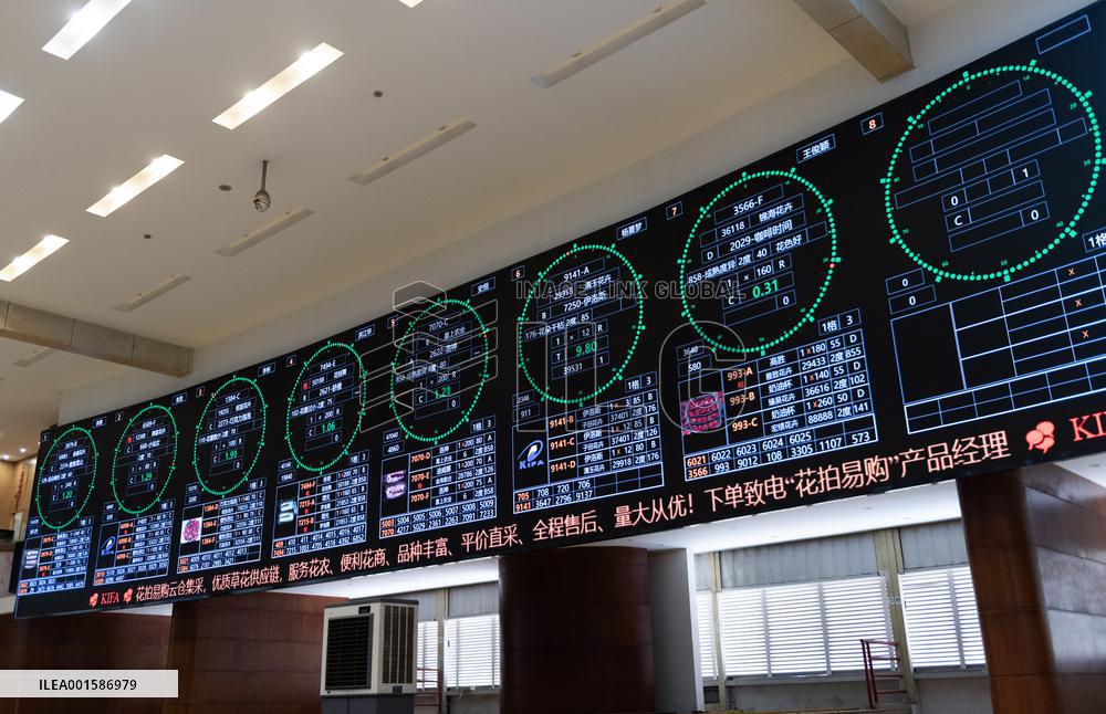 CHINA-YUNNAN-FRESH CUT FLOWER-TRADING (CN)