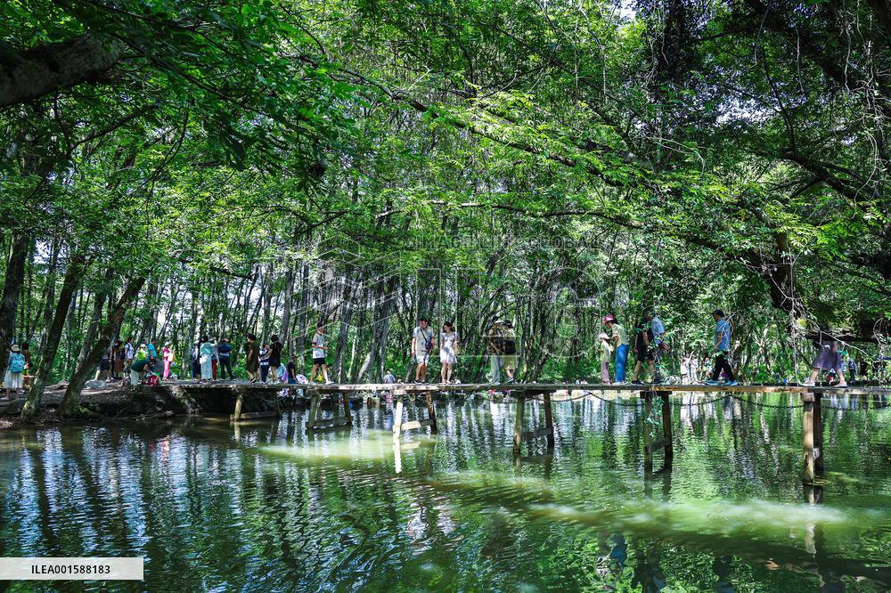 CHINA-ANHUI-HUANGSHAN-RURAL TOURISM (CN)