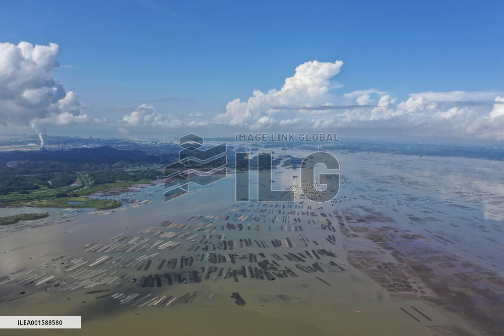 CHINA-GUANGXI-QINZHOU-AERIAL VIEW (CN)