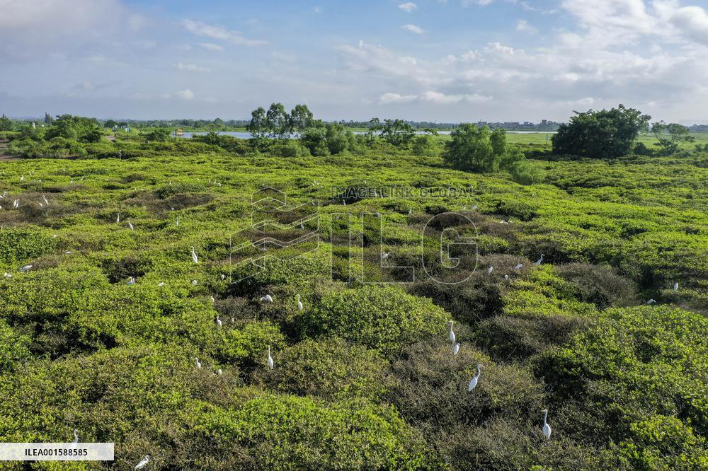 CHINA-GUANGXI-QINZHOU-AERIAL VIEW (CN)