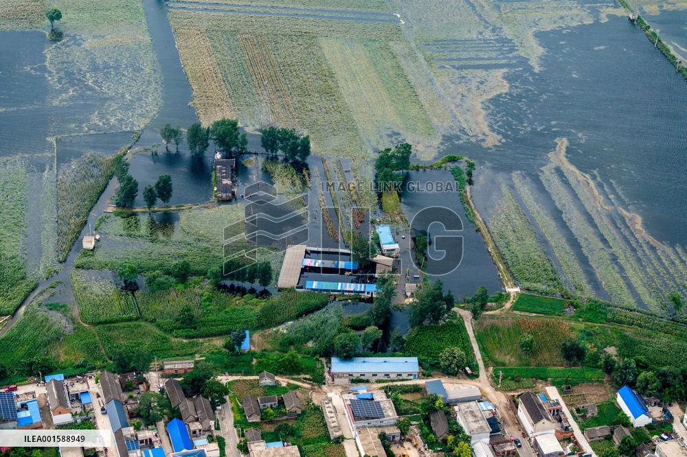 Grain Corn Flooded in Xinxiang, China