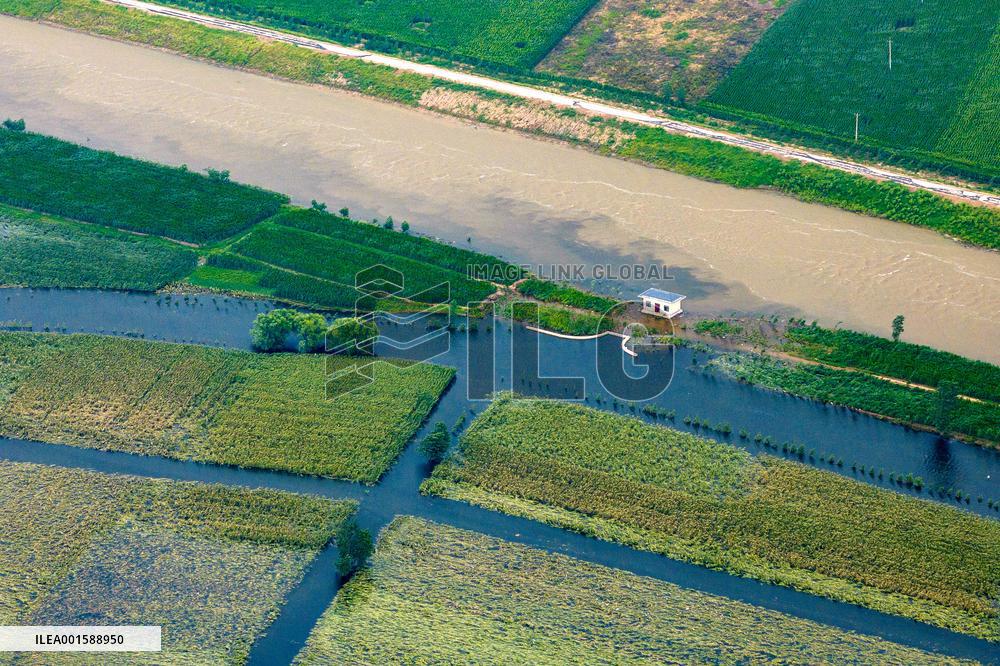 Grain Corn Flooded in Xinxiang, China