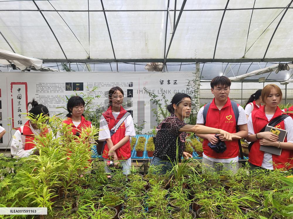 CHINA-CHONGQING-VILLAGES-ENTREPRENEURSHIP HUBS (CN)