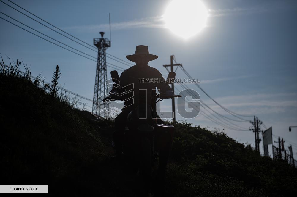 CHINA-HUBEI-SHISHOU-MILU DEER-CONSERVATION (CN)