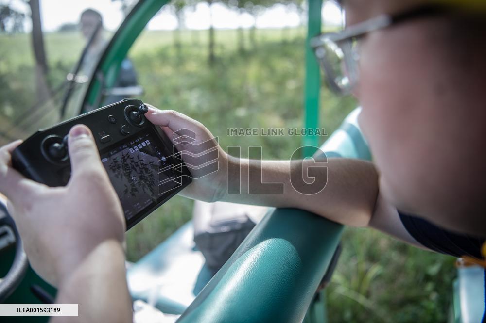 CHINA-HUBEI-SHISHOU-MILU DEER-CONSERVATION (CN)