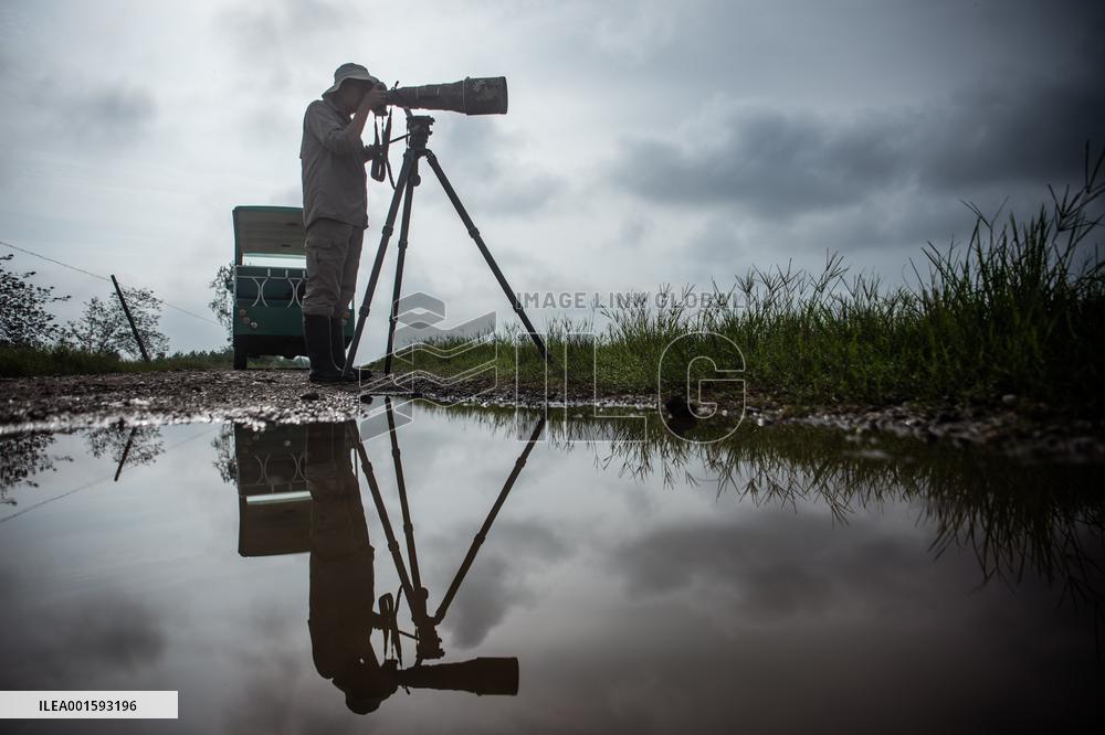 CHINA-HUBEI-SHISHOU-MILU DEER-CONSERVATION (CN)