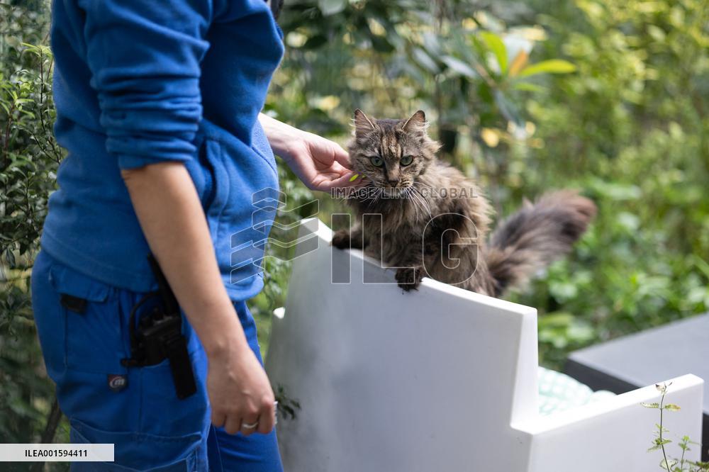 Animals at the Brigitte Bardot foundation shelter - Bazoches-sur-Guyonne