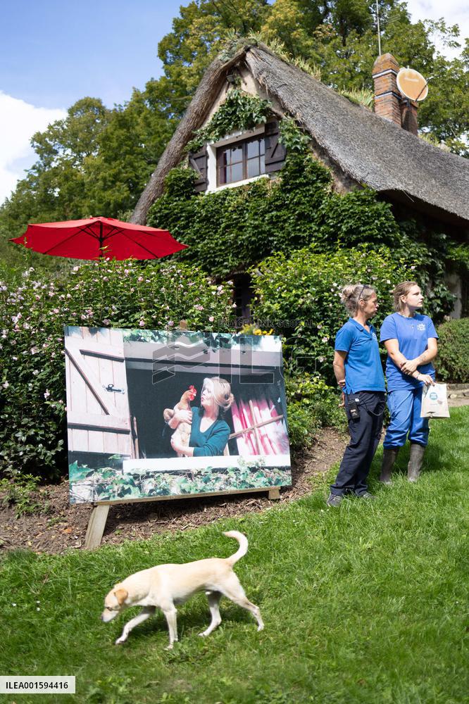 Animals at the Brigitte Bardot foundation shelter - Bazoches-sur-Guyonne